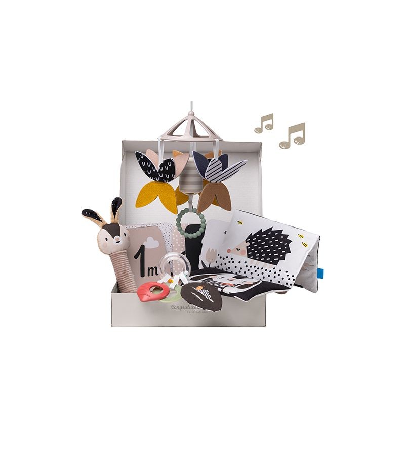 Σετ Δραστηριοτήτων για Νεογέννητο Black And White Kit,  Taf  Toys
